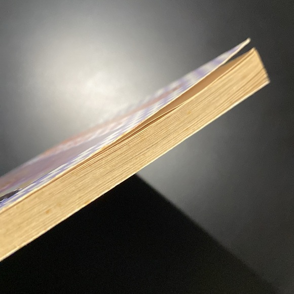 Baby-Sitters Little Sister #28: Karen’s Tea Party by Ann M. Martin - Novel - Picture 7 of 10